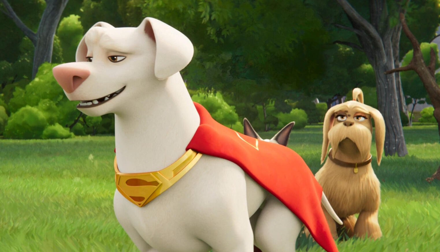 DC League of Super Pets