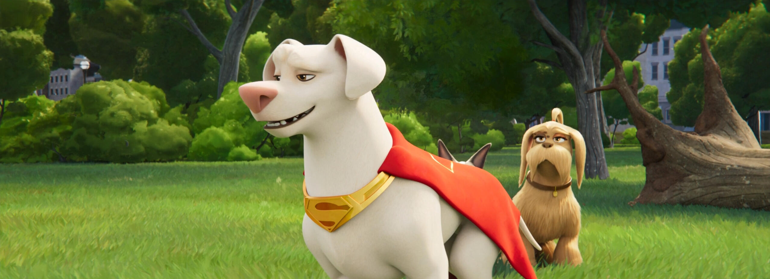 DC League of Super Pets